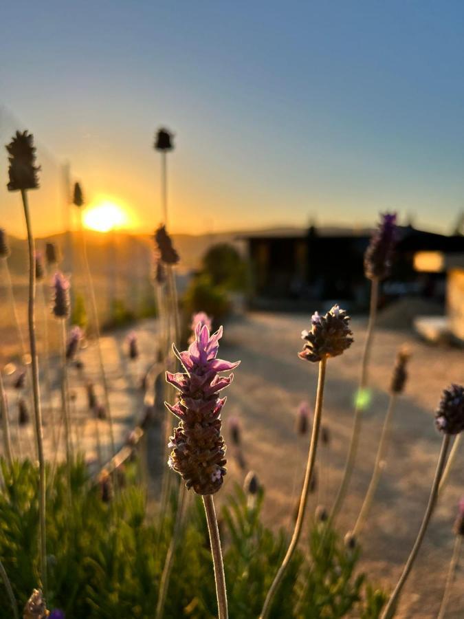 Finca Cazosa Valle de Guadalupe Buitenkant foto