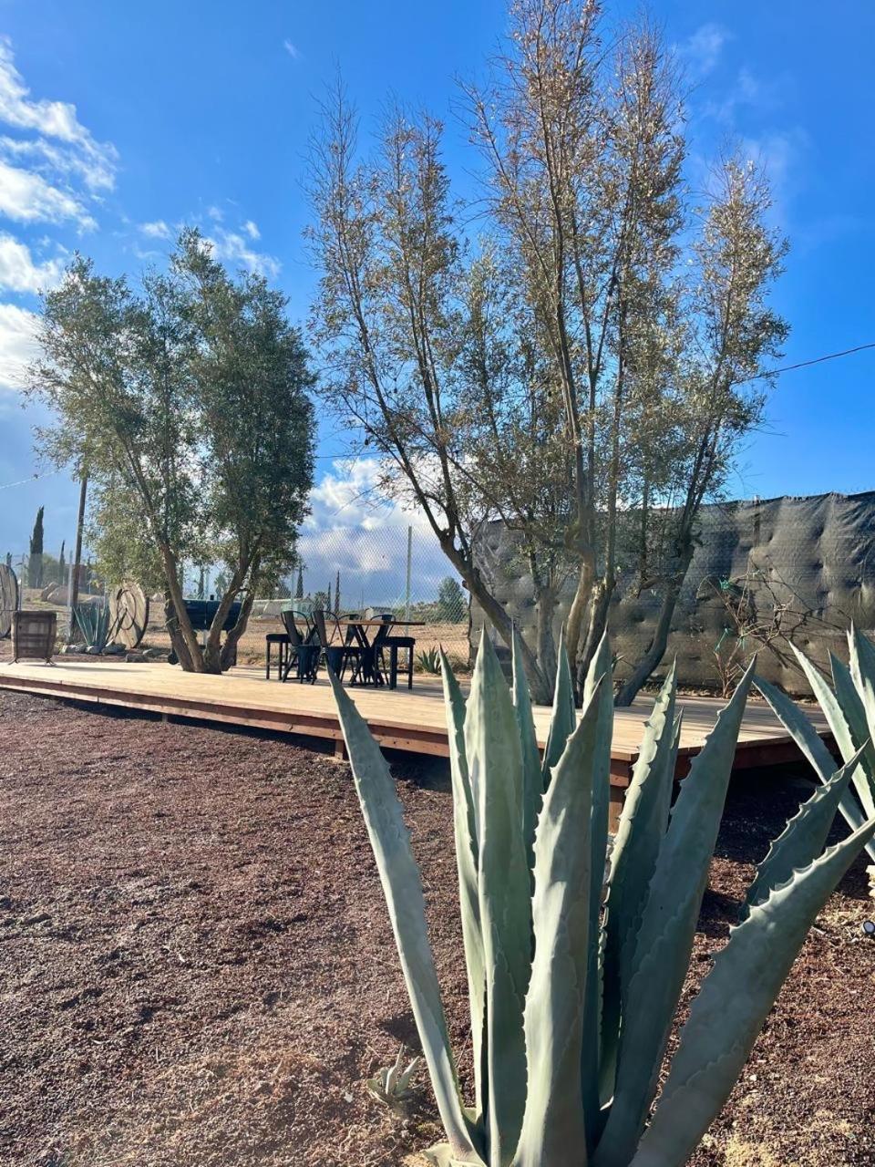 Finca Cazosa Valle de Guadalupe Buitenkant foto