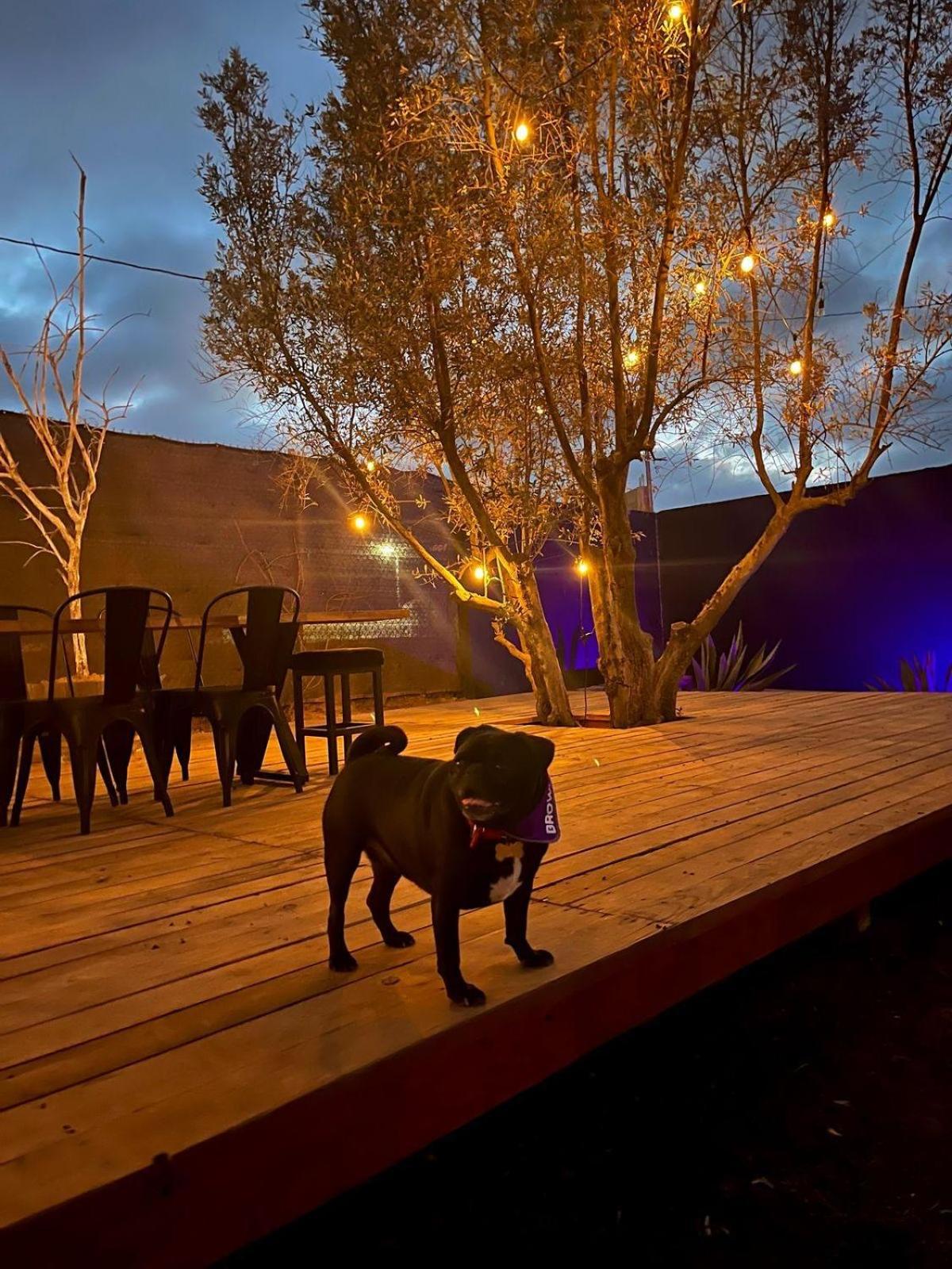 Finca Cazosa Valle de Guadalupe Buitenkant foto